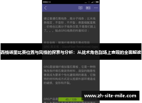 西格诺里比赛位置与风格的探索与分析：从战术角色到场上表现的全面解读