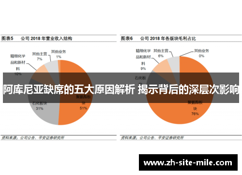 阿库尼亚缺席的五大原因解析 揭示背后的深层次影响